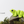 Load image into Gallery viewer, 3D Printed Toys- ZOU3D