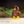 Load image into Gallery viewer, 3D Printed Toys- ZOU3D