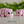 Load image into Gallery viewer, 3D Printed Toys- ZOU3D