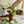 Load image into Gallery viewer, 3D Printed Toys- ZOU3D