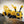 Load image into Gallery viewer, 3D Printed Toys- Artflex3D Designs