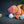 Load image into Gallery viewer, 3D Printed Toys- Artflex3D Designs