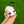 Load image into Gallery viewer, 3D Printed Toys- Bimo3D