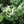 Load image into Gallery viewer, Texas Vent Clip Air Freshener