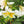 Load image into Gallery viewer, Texas Vent Clip Air Freshener
