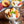 Load image into Gallery viewer, Texas Vent Clip Air Freshener