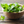 Load image into Gallery viewer, Texas Vent Clip Air Freshener