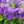 Load image into Gallery viewer, Texas Vent Clip Air Freshener