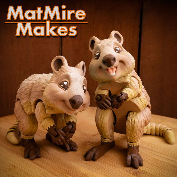 3D Printed Toys- MatMiresMakes