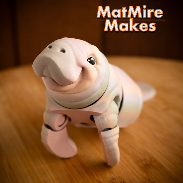 3D Printed Toys- MatMiresMakes