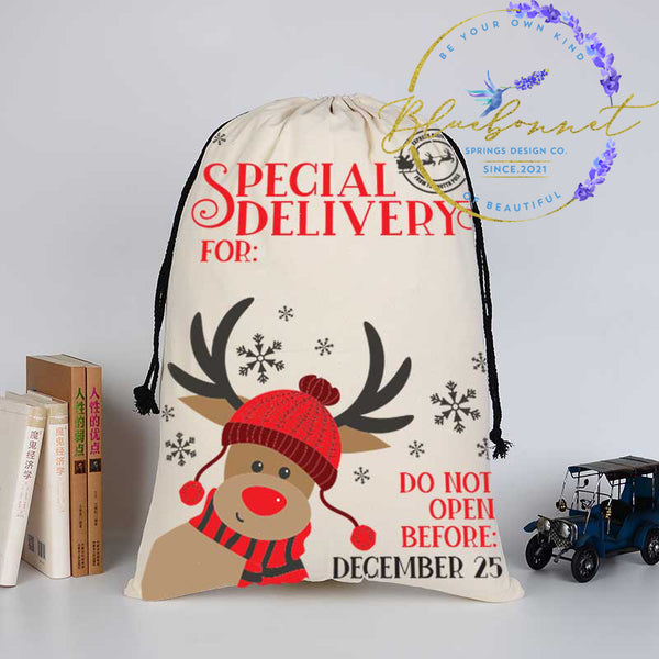 Reindeer Special Delivery Santa Sack